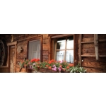 Mosquito Net Bettio Sonia Traditional Vertical Spring Overall Cassonetto 40mm